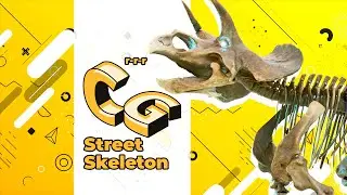 Street Skeleton / Вуличний скелет / Уличный скелет