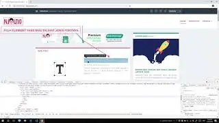 Tutorial: Bagaimana Cara Melihat Font yang Digunakan Sebuah Website | Pe Jung Labs