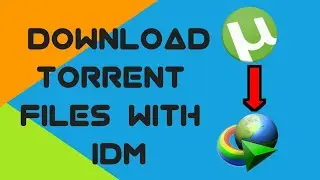 How To Download Torrent Files With IDM