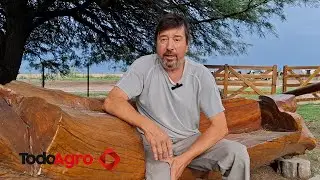 La gran apuesta de un pequeño productor: robots de ordeñe en Zenón Pereyra