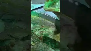 کله پاچه خوشمزه خوری چهار صبح غرب تهران #food