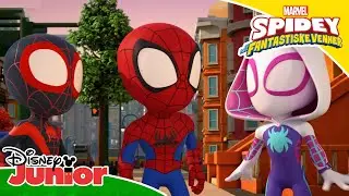 Tyveri ved guldsmeden | Spidey og hans fantastiske venner | Disney Junior Danmark