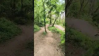 Слышно пение птичек!?