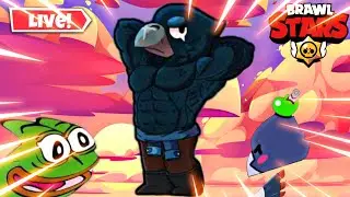 🔴Road To World Record Shelly! Day 2
