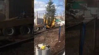 Выкорчёвывание деревьев