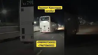 Ташкент Краснодар автобус, Ташкент Краснодар, Краснодар Ташкент, Краснодар Ташкент автобус 