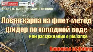 Ловля карпа на флет-метод фидер по холодной воде или рассуждения о рыбалке