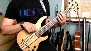 Plini - Heart - Small Instrument Cover