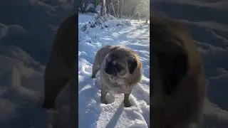 #wildlife