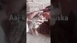 larai wala nuskha batera