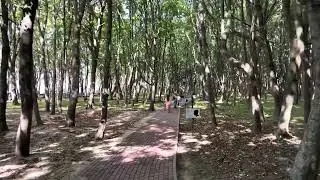 Литературно-янтарная тропа