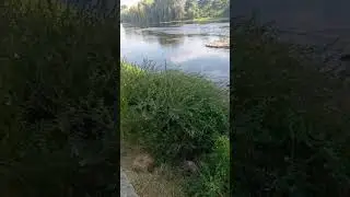 17 августа 2023 г.