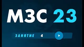 МЗС 23 День 4 | Бизнес Молодость