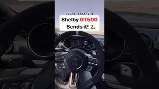 Shelby GT500 Sends It! 🏎️