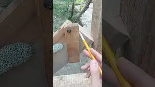 Corte perfeito com guia fácil de fazer #shortvideo #video