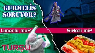 Gurmelis ile Turşu en iyi Limonlu mu olur ? 🧐  Sirkeli mi ? 😉