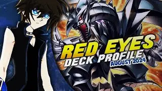 Red Eyes Deck Profile! (August 2024//Yu-Gi-Oh!)