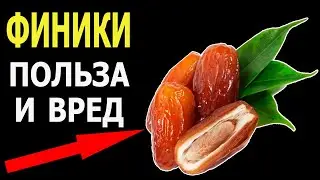 Финики   польза и вред для здоровья организма /Это надо Знать!