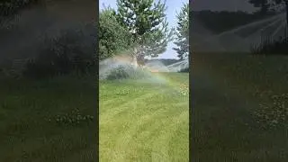 #shortsvideo #nature #казахстан