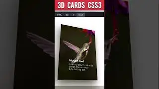 3D Card Hover Effects CSS3 