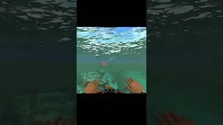 ГРОЗДИ ВОДОРОСЛЕЙ! ПЕРВЫЕ ЛАСТЫ! СООБЩЕНИЕ ИИ! Моменты из 1 серии 