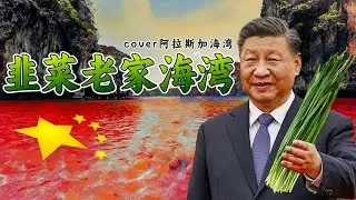 韭菜老家海湾—cover阿拉斯加海湾—改编词—春节为何传来人民哭泣的歌声？？翻唱 by 2023新登场粉红歌姬