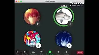 Zoom call with us be like: Join our discord server, its in the channel description!