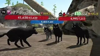 The Wolf - PvP