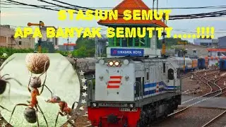 Sejarah Stasiun Kota ( stasiun semut Surabaya )