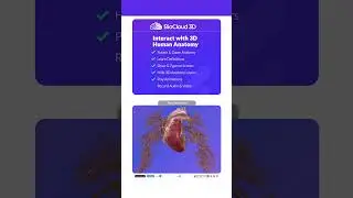 #healthcare #patientcare #patienteducation #anatomy #patientengagement #healthcaremarketing