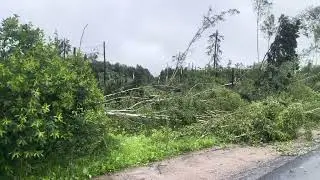 Ураган на кубинском шоссе вблизи Акулово 20.06.24