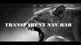 TRANSPARENT NAV BAR USING HTML5 AND CSS