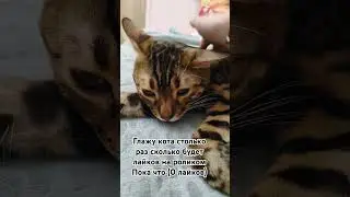 вперёд!