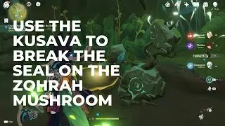 Genshin Impact || Use the Kusava to break the seal on the Zohrah mushroom
