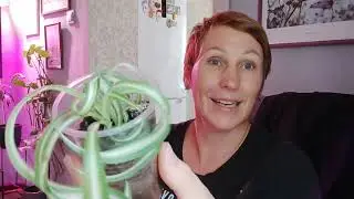 Купили дом на Кубани 6 лет назад, пять лет помогаю людям найти дом в наших станицах.