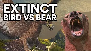 Short Faced Bear VS Largest Extinct Birds - Size Comparison