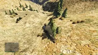 bird took me out