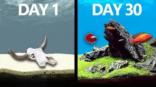 I Simulated a Lake for 30 Days