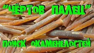 ПОИСК ОКАМЕНЕЛОСТЕЙ ЧЁРТОВЫ ПАЛЬЦЫ БЕЛЕМНИТЫ SEARCH OF FOSSILS BLOODY FINGERS BELEMNITES