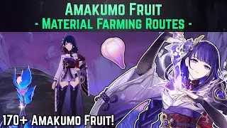 Amakumo Fruit Farming Routes (176 to Collect!) | Genshin Impact Guide