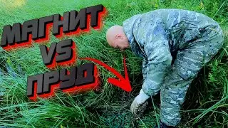 МАГНИТ поймал неожиданное сокровище в старом королевском пруду!
