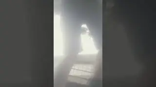11 июня 2023 г.