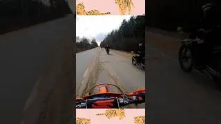 Бандитизм
