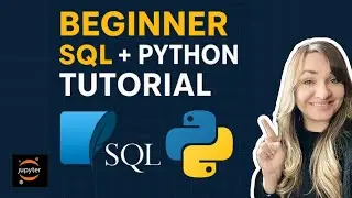 SQLite + Pandas  Learn SQL with Python for Beginners in 10 mins