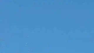 Cranes 12,1,2020