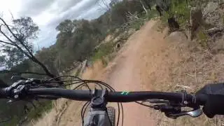 You Yangs Cressy's Descent