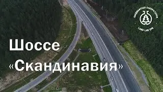 Устройство газонов на откосах шоссе «Скандинавия» а/д  А-181