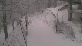 Neve a Montevergine e sul Laceno. Video e foto spettacolari
