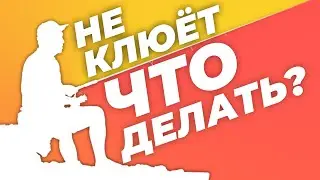 Не клюет! Что делать?
