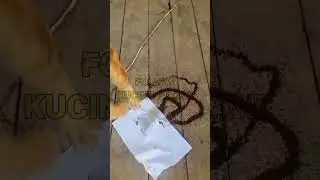 PENARIKAN MUSTIKA GIF SINGA